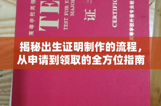 博湖揭秘出生证明制作的流程，从申请到领取的全方位指南